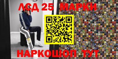 PSILOCYBIN Заводоуковск