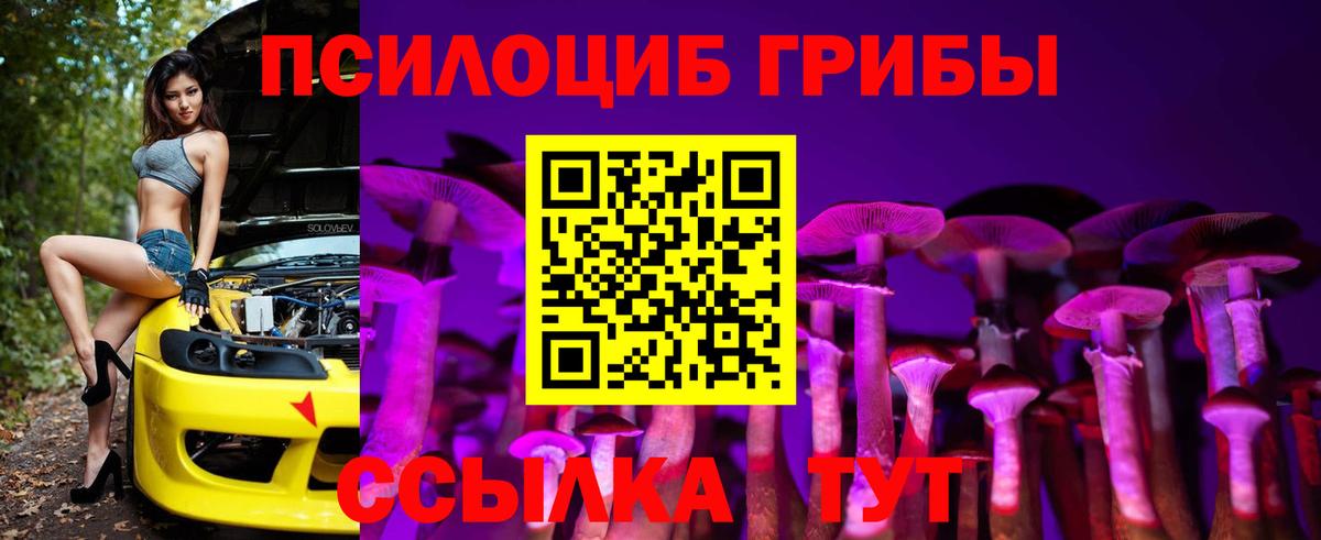 Псилоцибиновые грибы Cubensis  купить наркоту  Королёв  Вход с VPN 