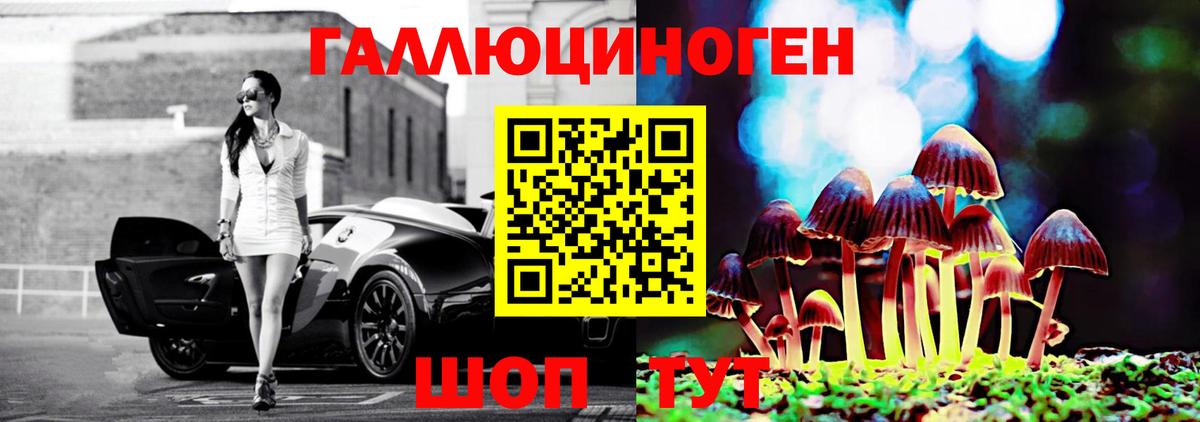 Псилоцибиновые грибы GOLDEN TEACHER Королёв